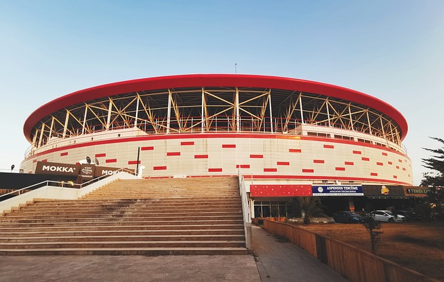 的运用逐渐 的运用逐渐