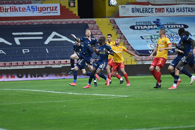 会的数据不 会的数据不