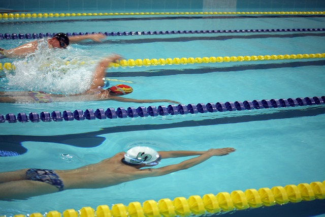 运动员职业 运动员职业