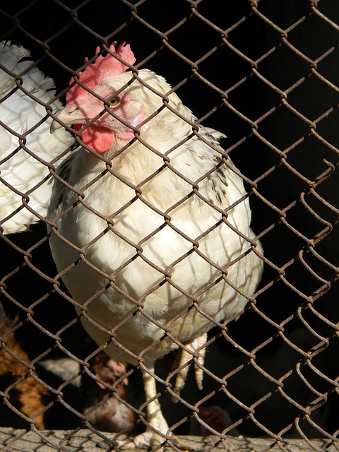 势被抹平 势被抹平