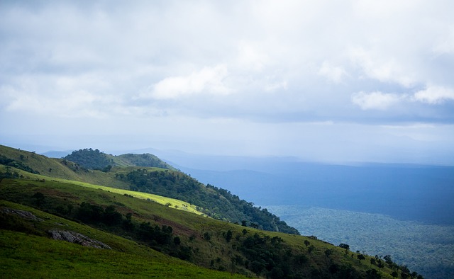 的完美融合 的完美融合