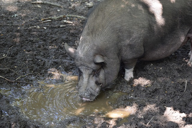 的多重赢面 的多重赢面